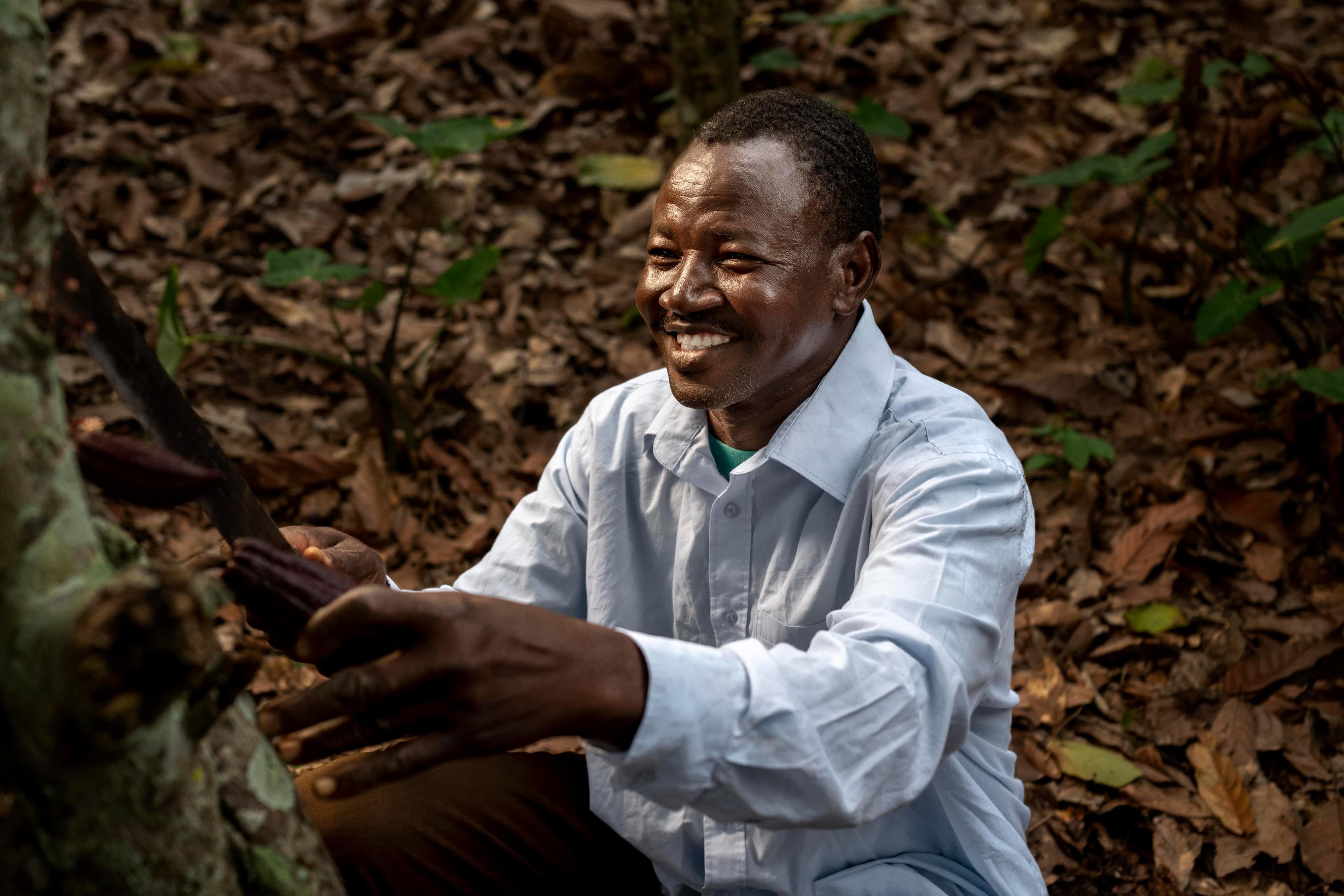 UTZ Certification from the Perspective of Cocoa Farmers in Côte d&apos;Ivoire and Ghana